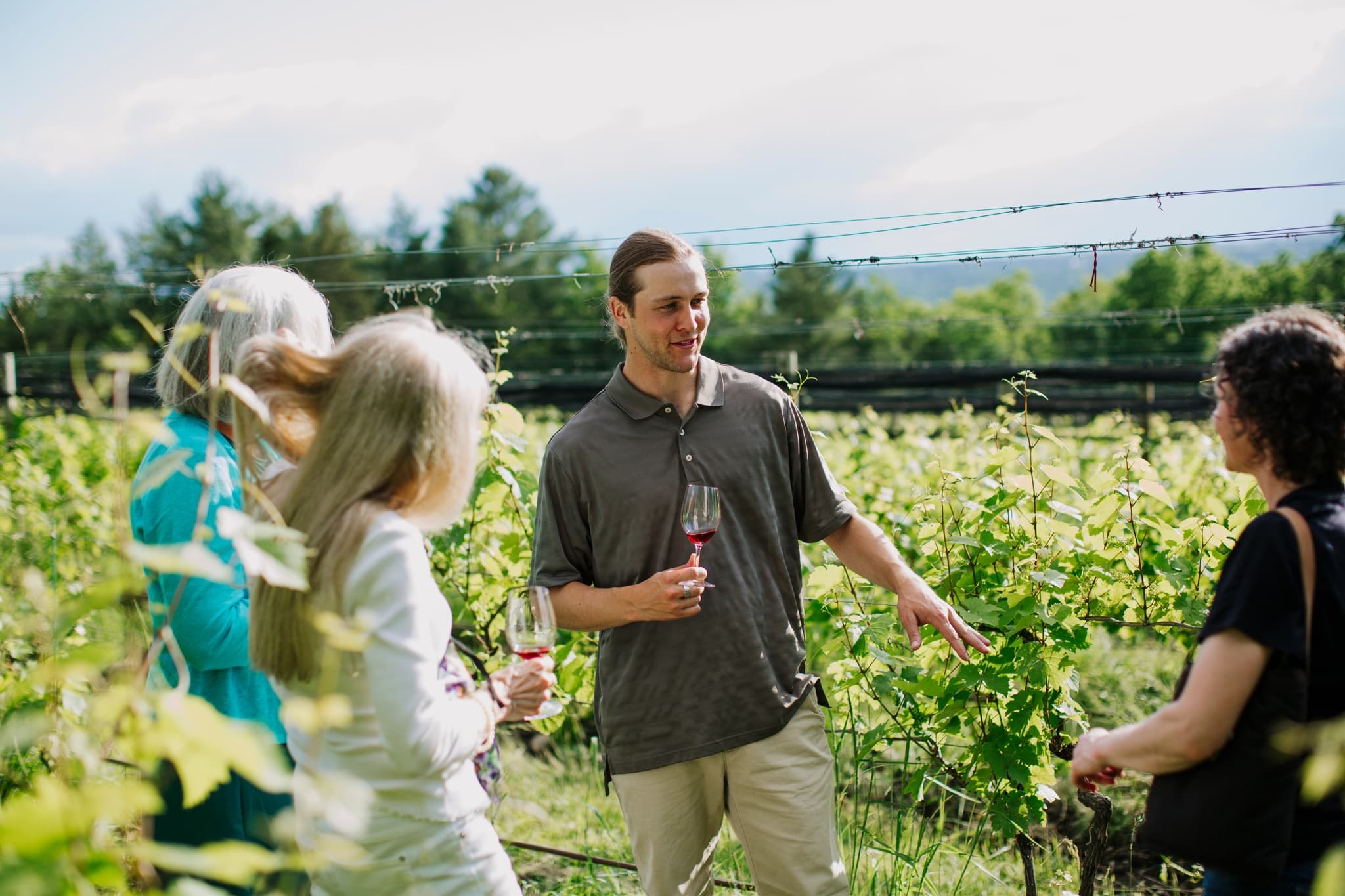 Vineyard & Tasting Tour at Silver Thread Vineyard in Lodi