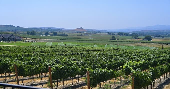 Snake River Valley Private Wine Tours by Sunshine Wine Tours