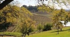 Private Hunter Valley Wine Day: Luxury Full-Day Tasting from Rothbury