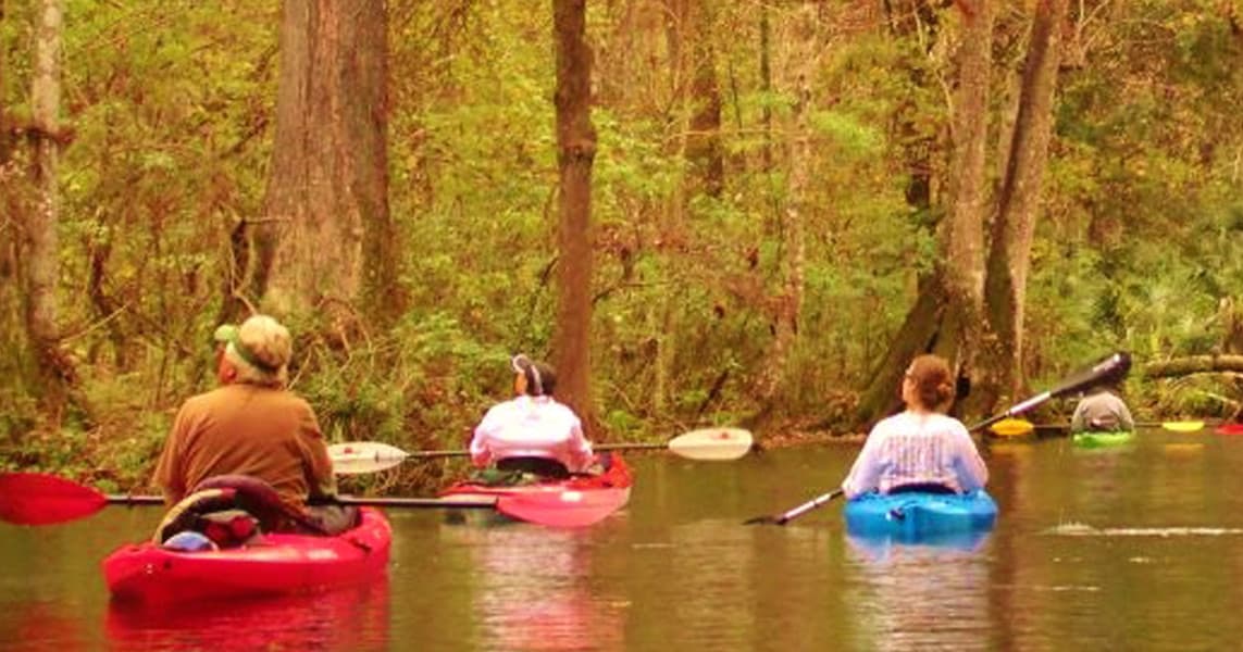 Kayakers paddling through shaded river cypress forest in Florida