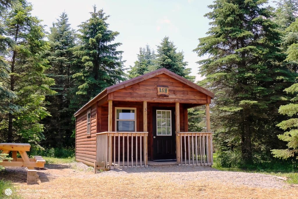 Ash Cabin — Electric Cabin Retreat Near Andover, New York