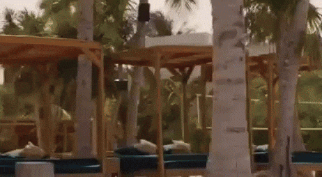 Sea & Sun Water Activities at Areia Beach Club Isla Mujeres
