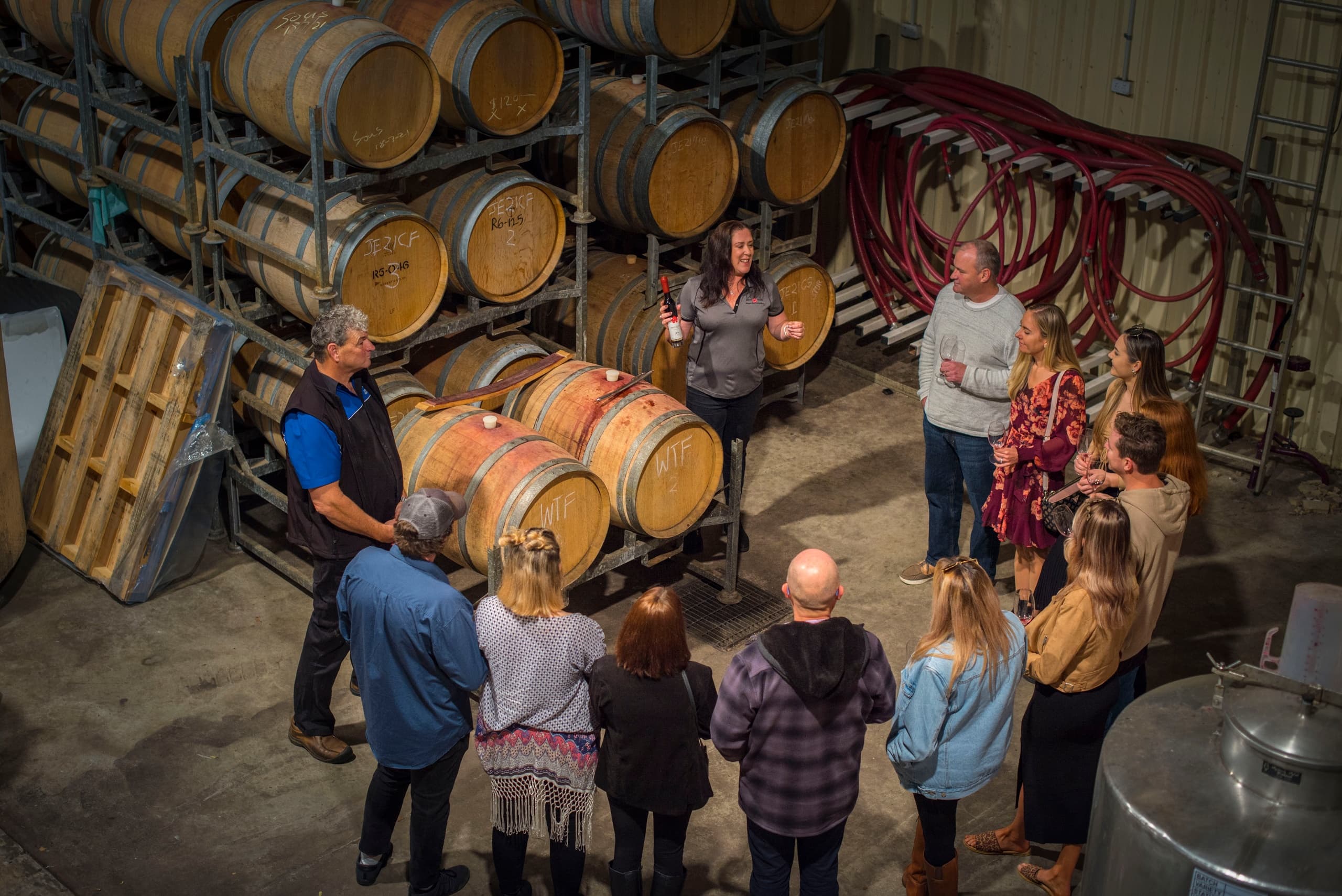 Guided cellar tour among oak barrels in boutique winery production