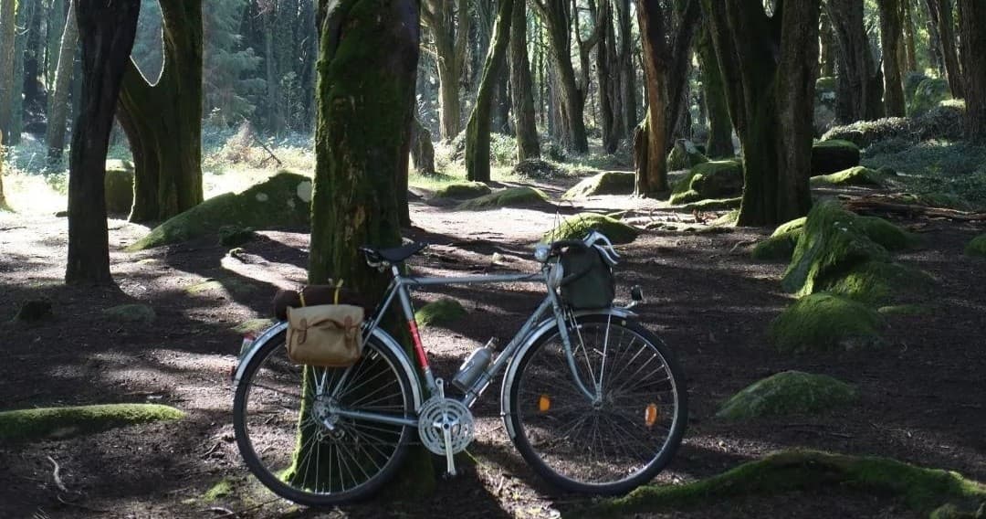 Monsanto Vintage Bike Tour with Get Stoked in Lisbon
