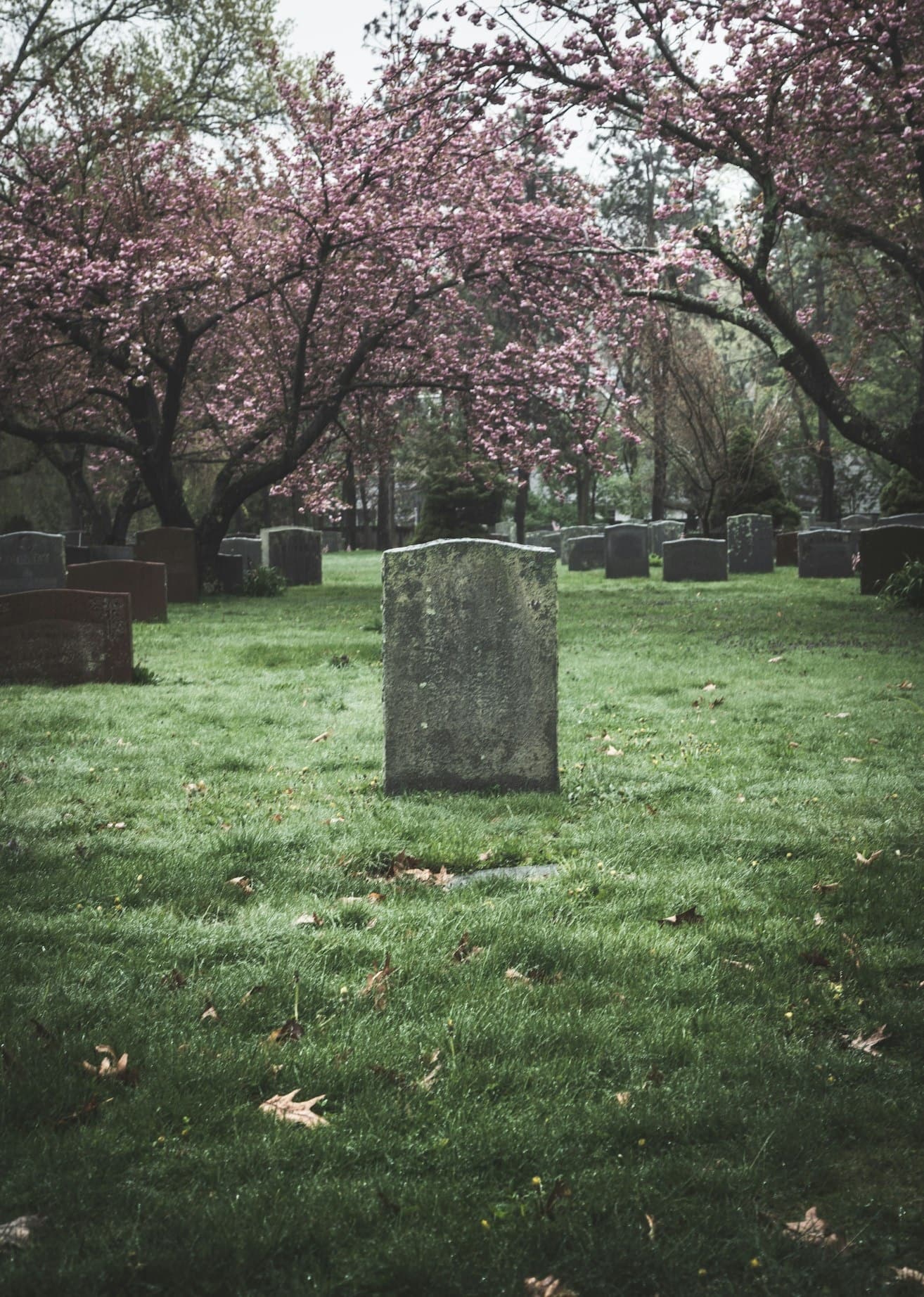 Walking Cemetery Tour in Historic Pensacola, Florida