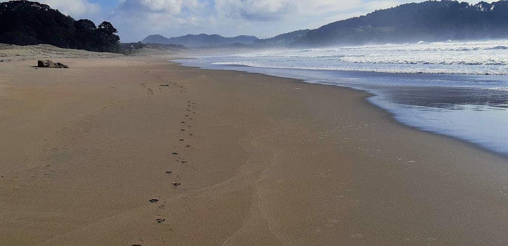 Empty sandy beach walk with footprints along misty shoreline