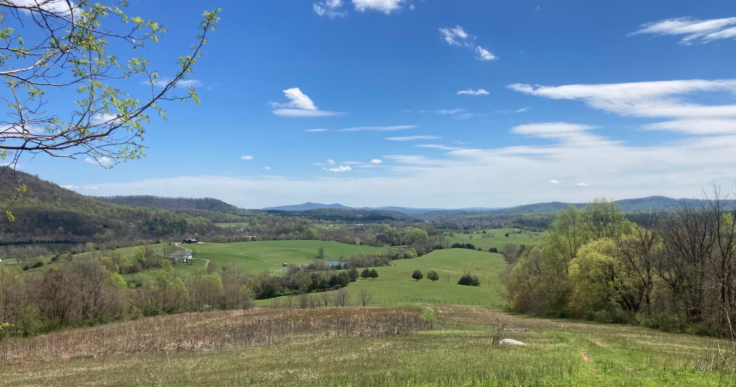 Rapidan Loop Hiking Adventure in Virginia Wilderness
