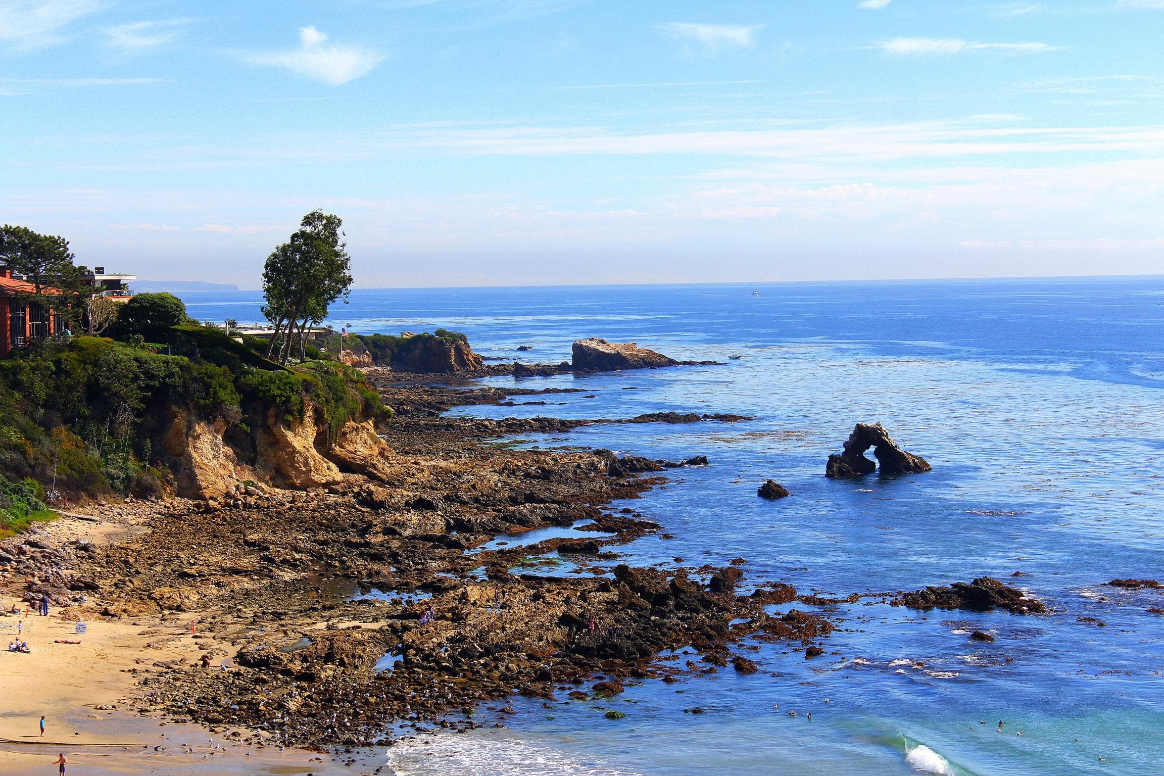 Coastal bluff and ocean vista along scenic Pacific shoreline