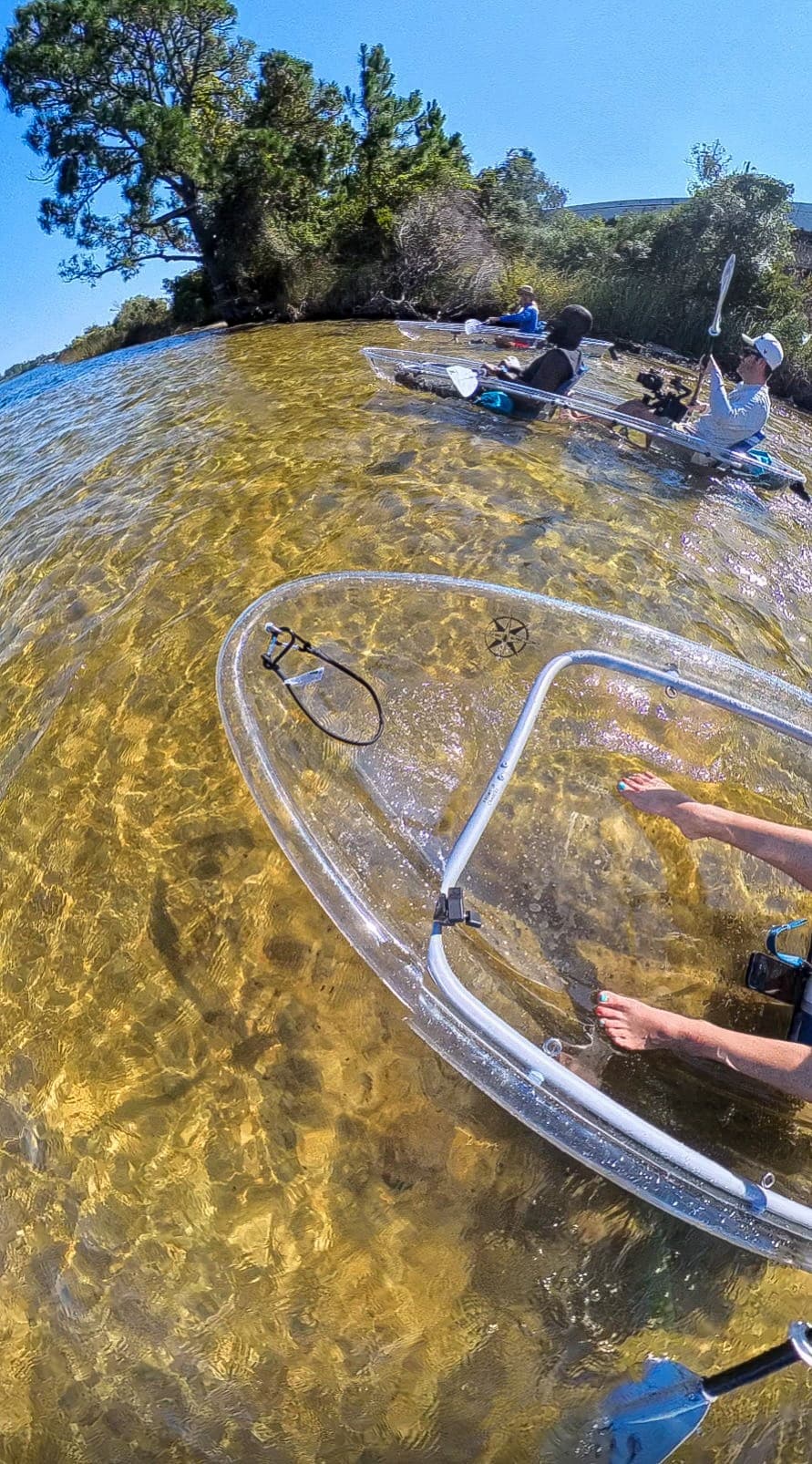See-Through Kayaking on 30A: Guided Clear Kayak Tours on Rare Coastal Dune Lakes photo 2