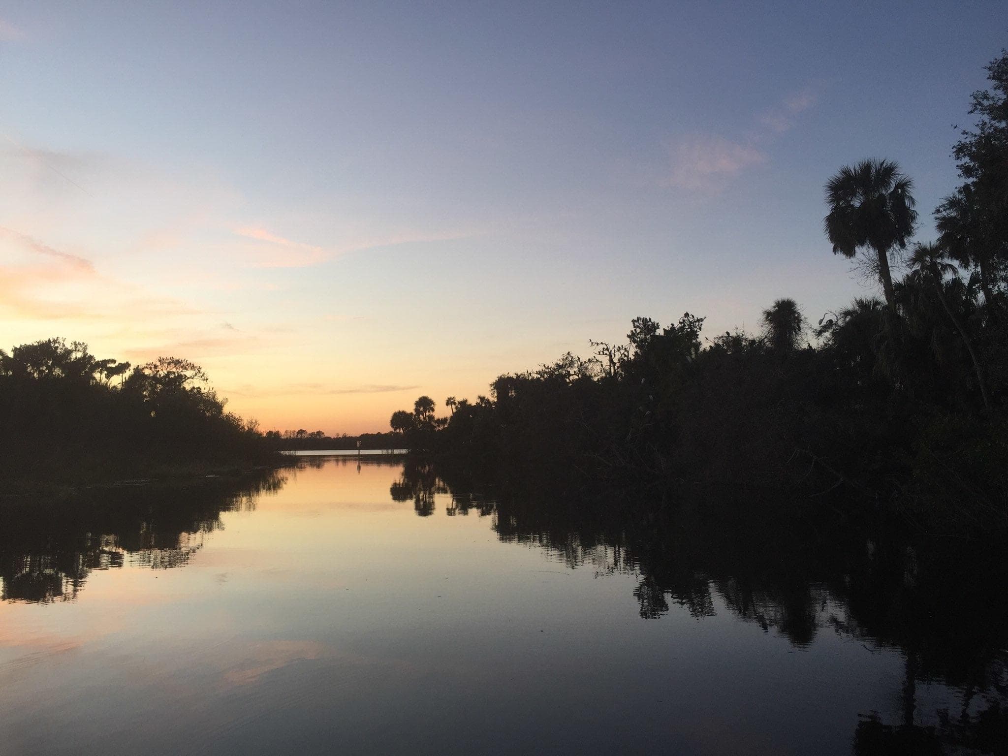 Sunset boat tour on Florida river with palm tree reflections
