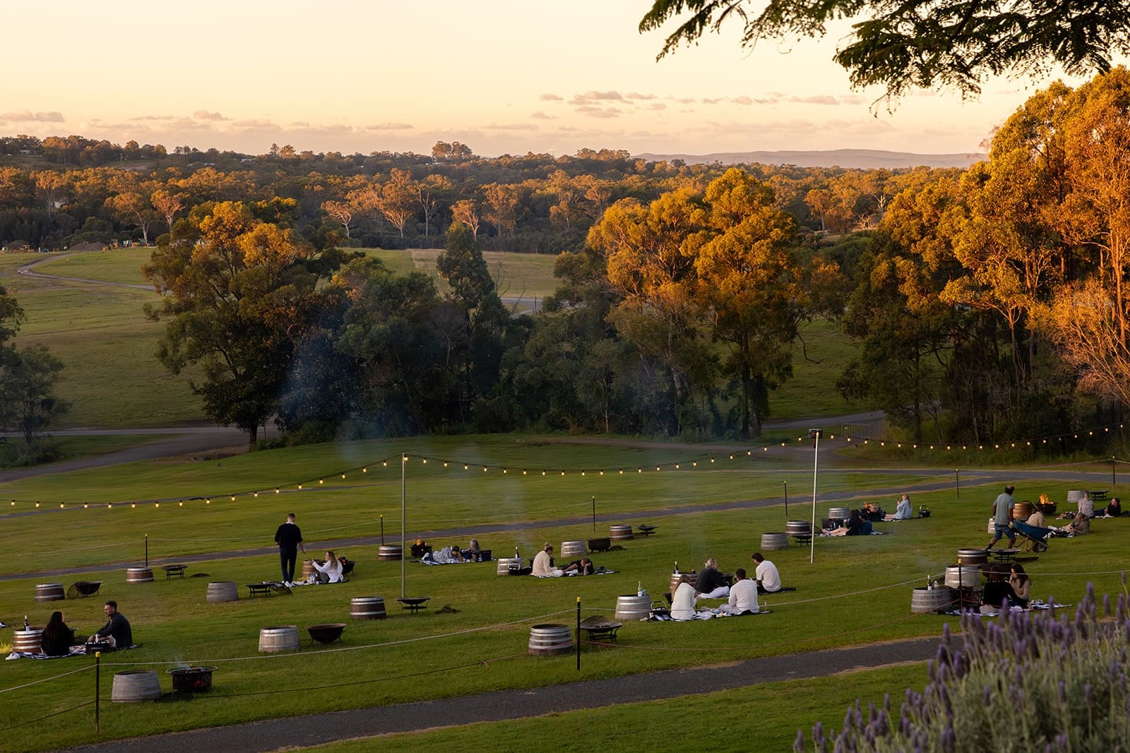 Winter Firepit Evenings at Sirromet Winery
