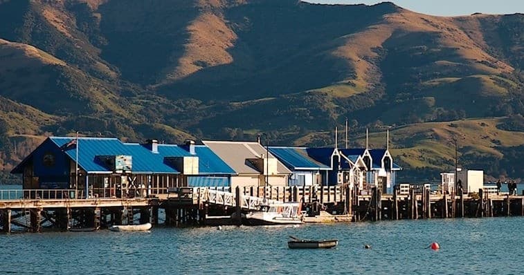 Water Activities with Akaroa Harbour Plus in Akaroa