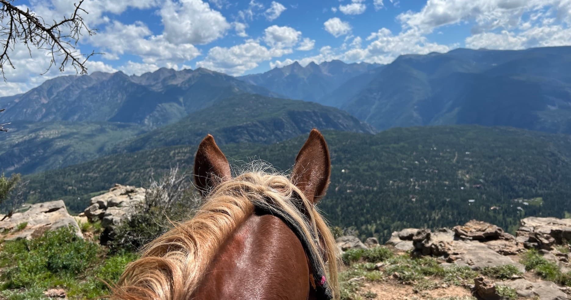 Castle Rock Ride: Scenic Horseback Adventure in Durango, CO