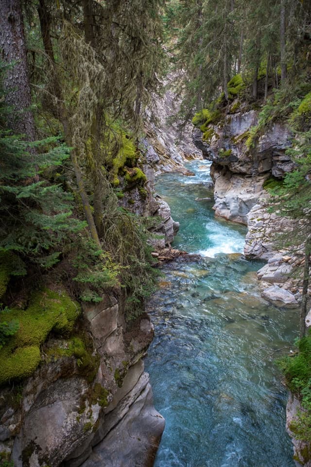 Land Adventures in Banff with Johnston Canyon Walk & Highlights