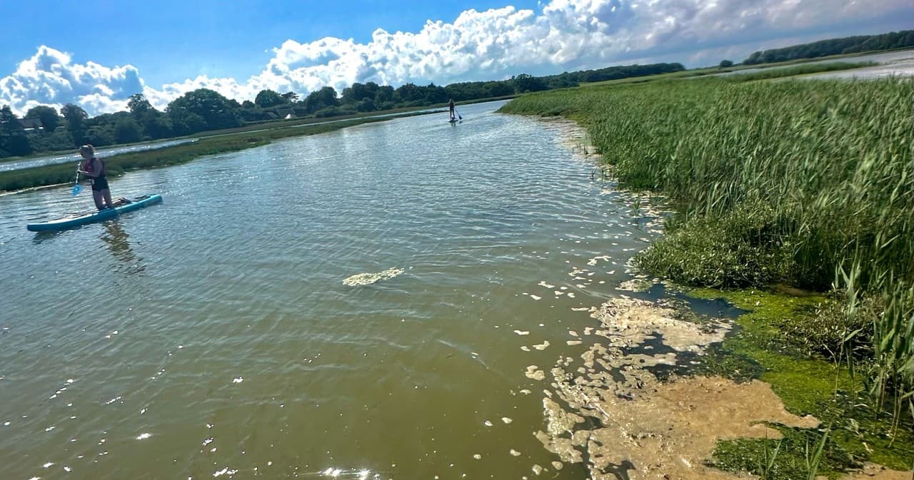 Paddleboard Rental at Blackwater Watersports in Maylandsea