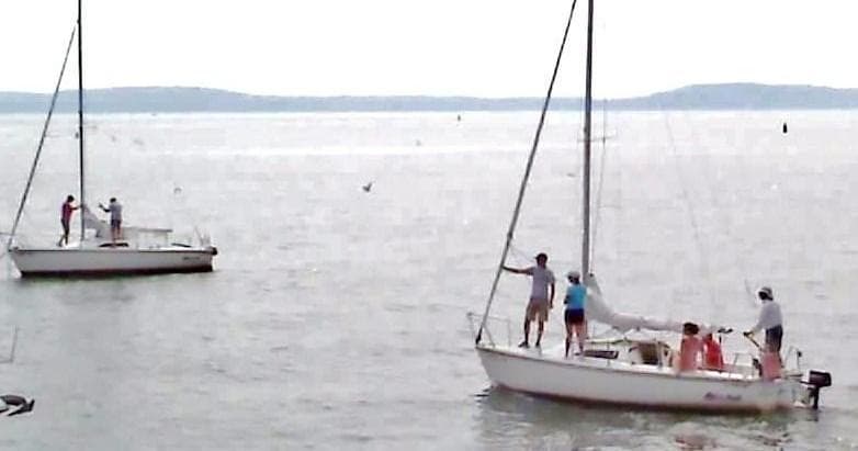 Group sailing on open water with multiple small boats, coastal view