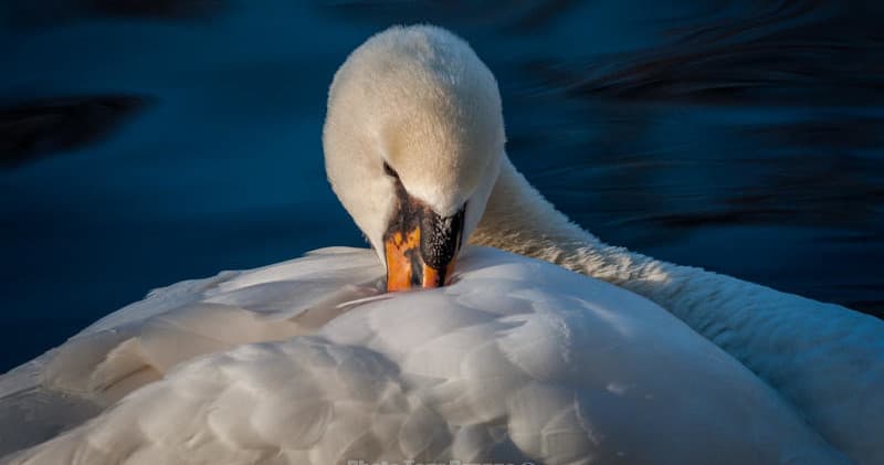 Water & Cultural Photography with Private Photo Tour Brugge