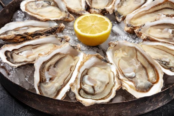 Water Activities & Oyster Cruise with Plymouth Cruises