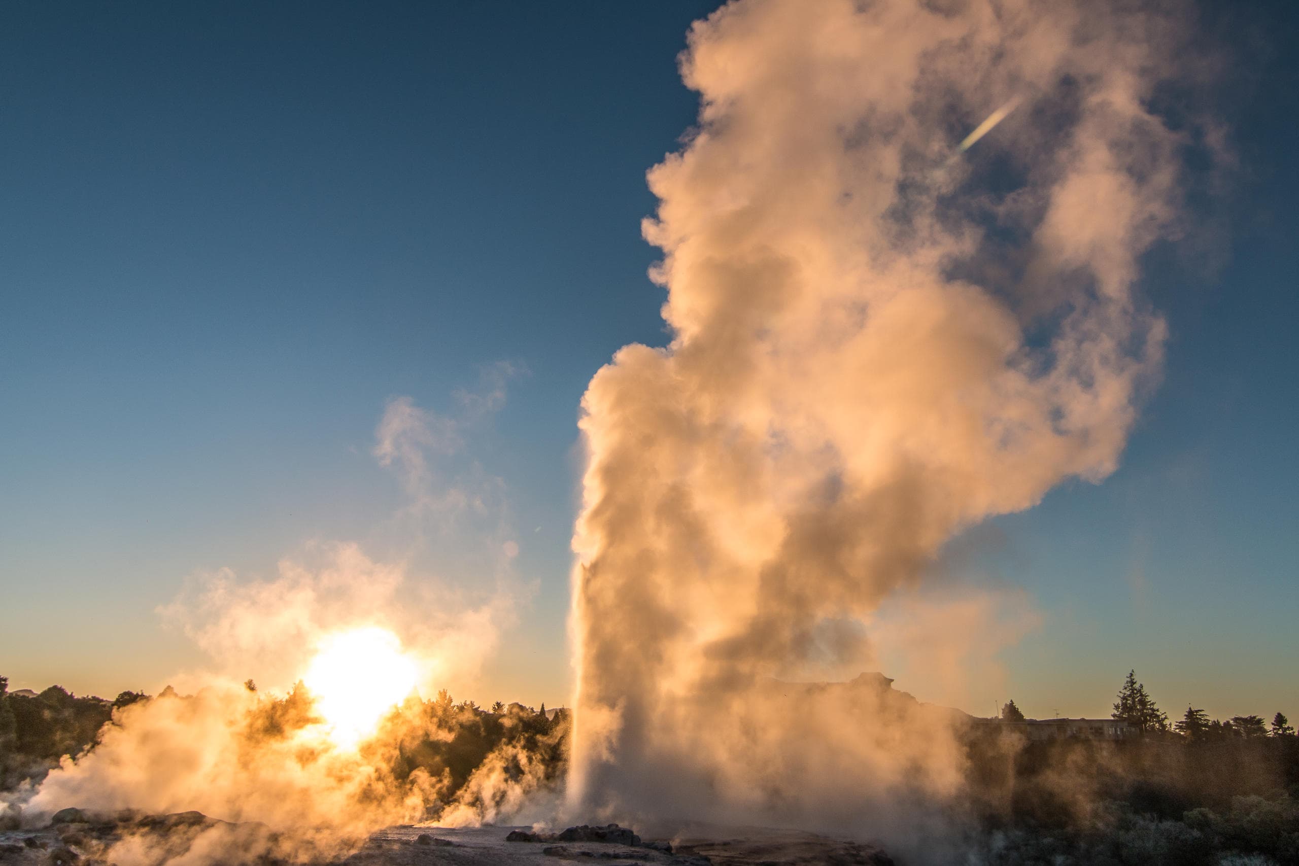 Geyser eruption at sunrise in geothermal field, Rotorua NZ