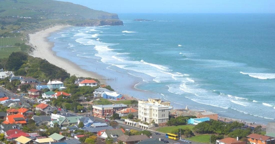 Discover Dunedin: Private Guided Tour of Heritage, Wildlife & Scenic Wonders