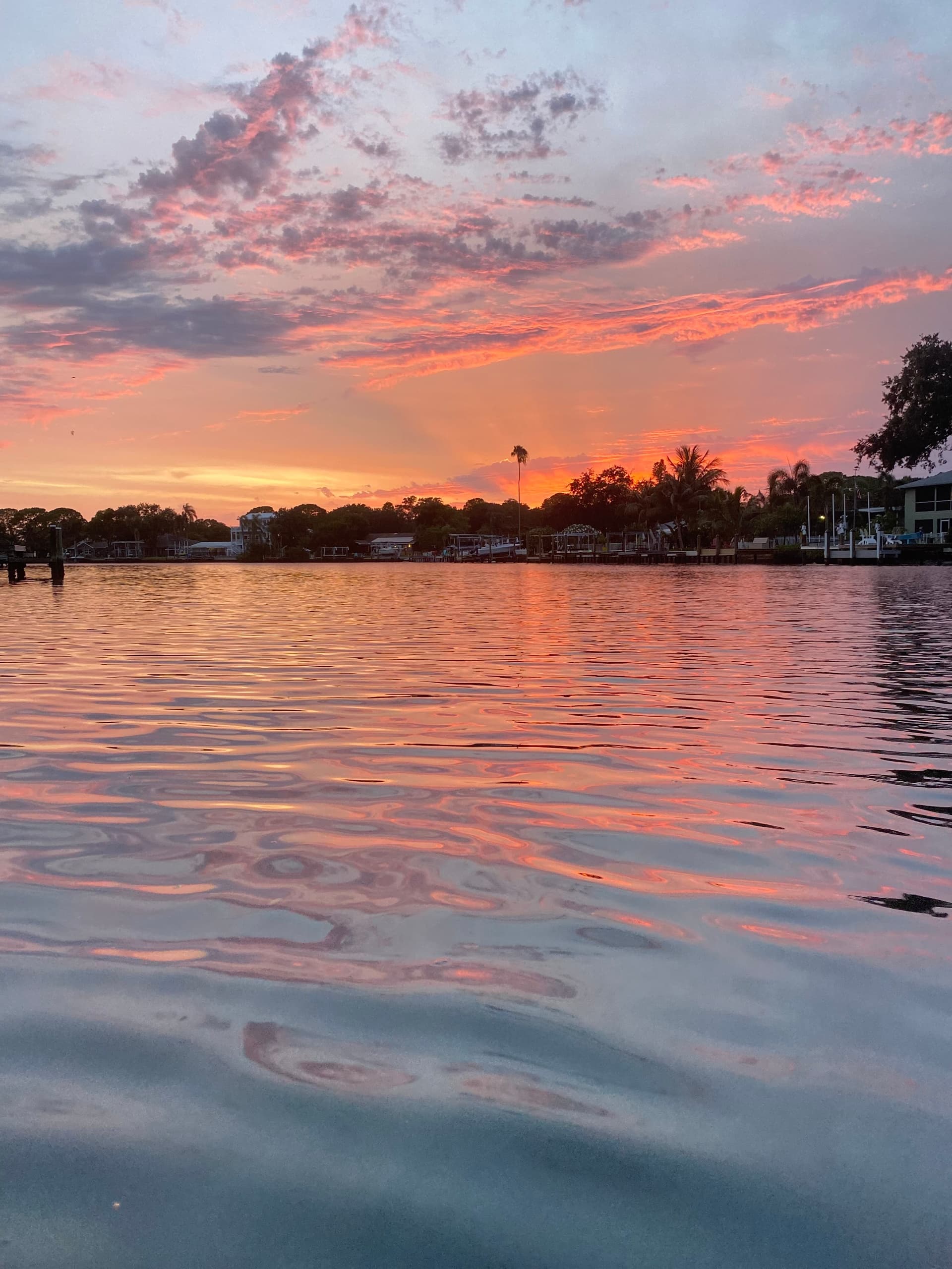Sunset Dolphin Tour with Pirate City LLC in St. Petersburg
