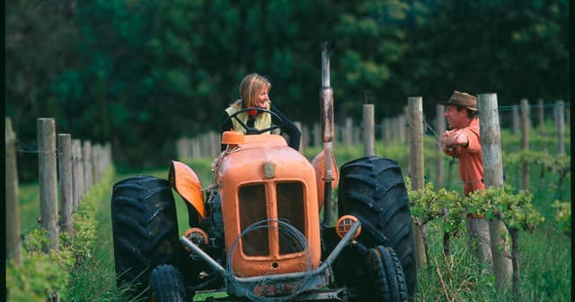 Orange tractor in vineyard rows on rural farm tractor tour