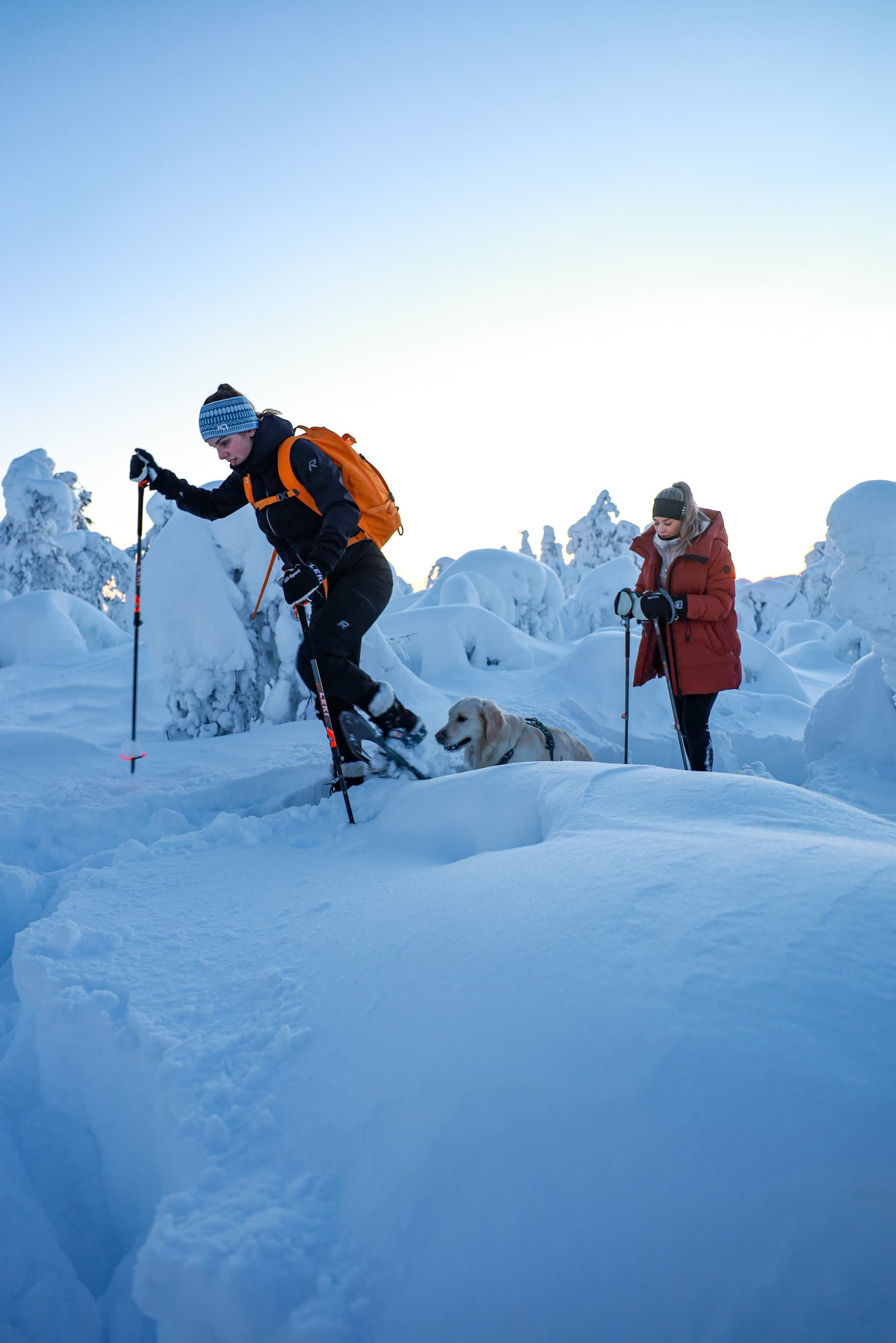 Snowshoe to Kätkä Fell: Half-Day Arctic Hike from Levi with Sámi Stories photo 4