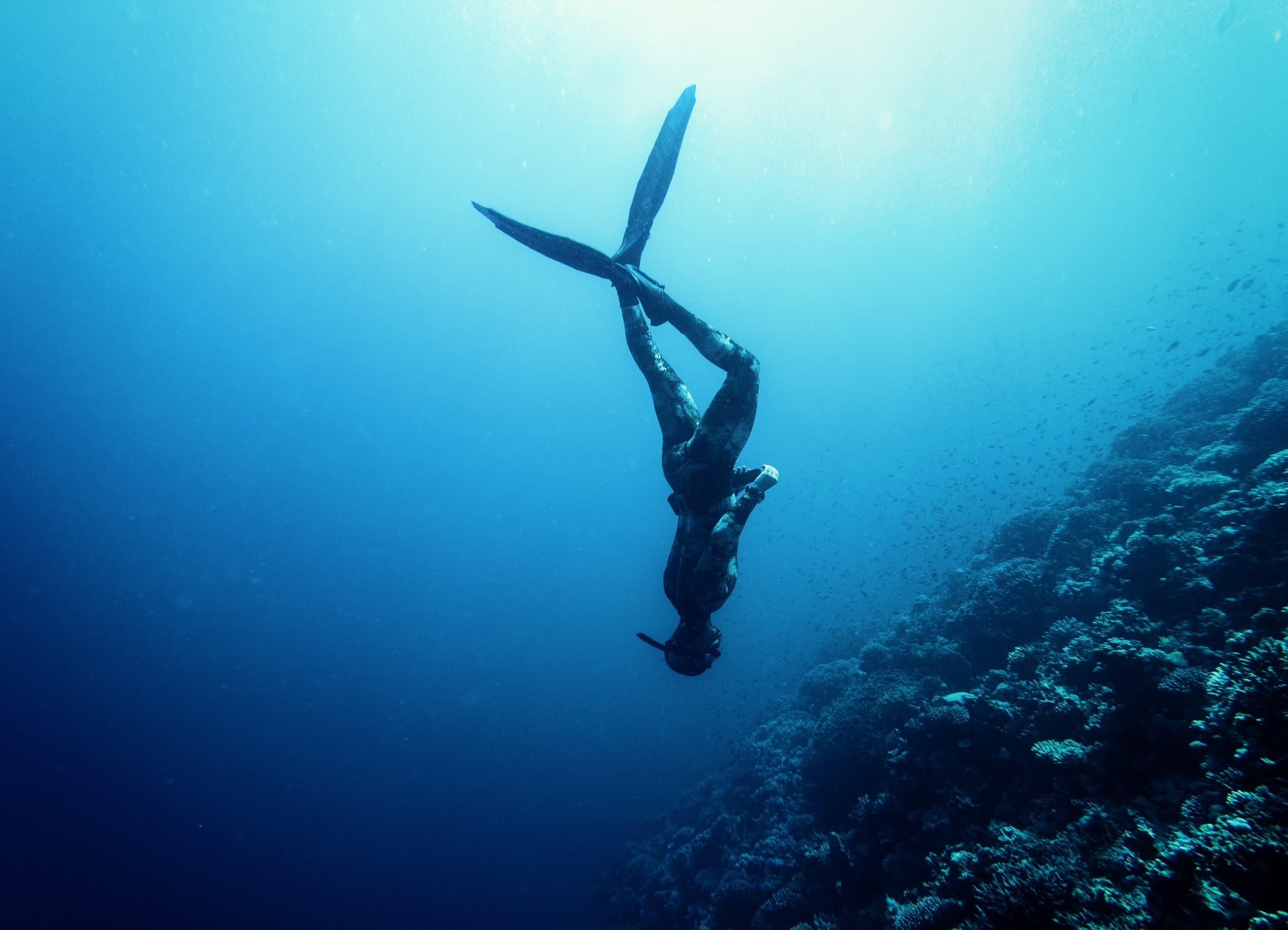 NAUI Freediver Course in San Francisco, California