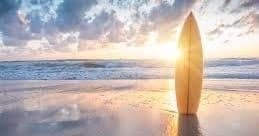 Maui Surf and SUP team