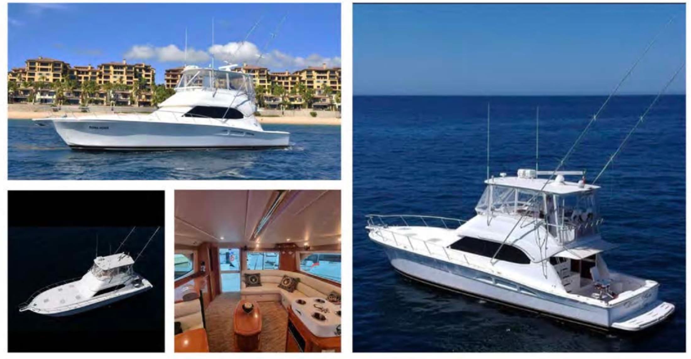 Water Activities: Viviendo el Sueño Yacht Charter by InCabo Travel