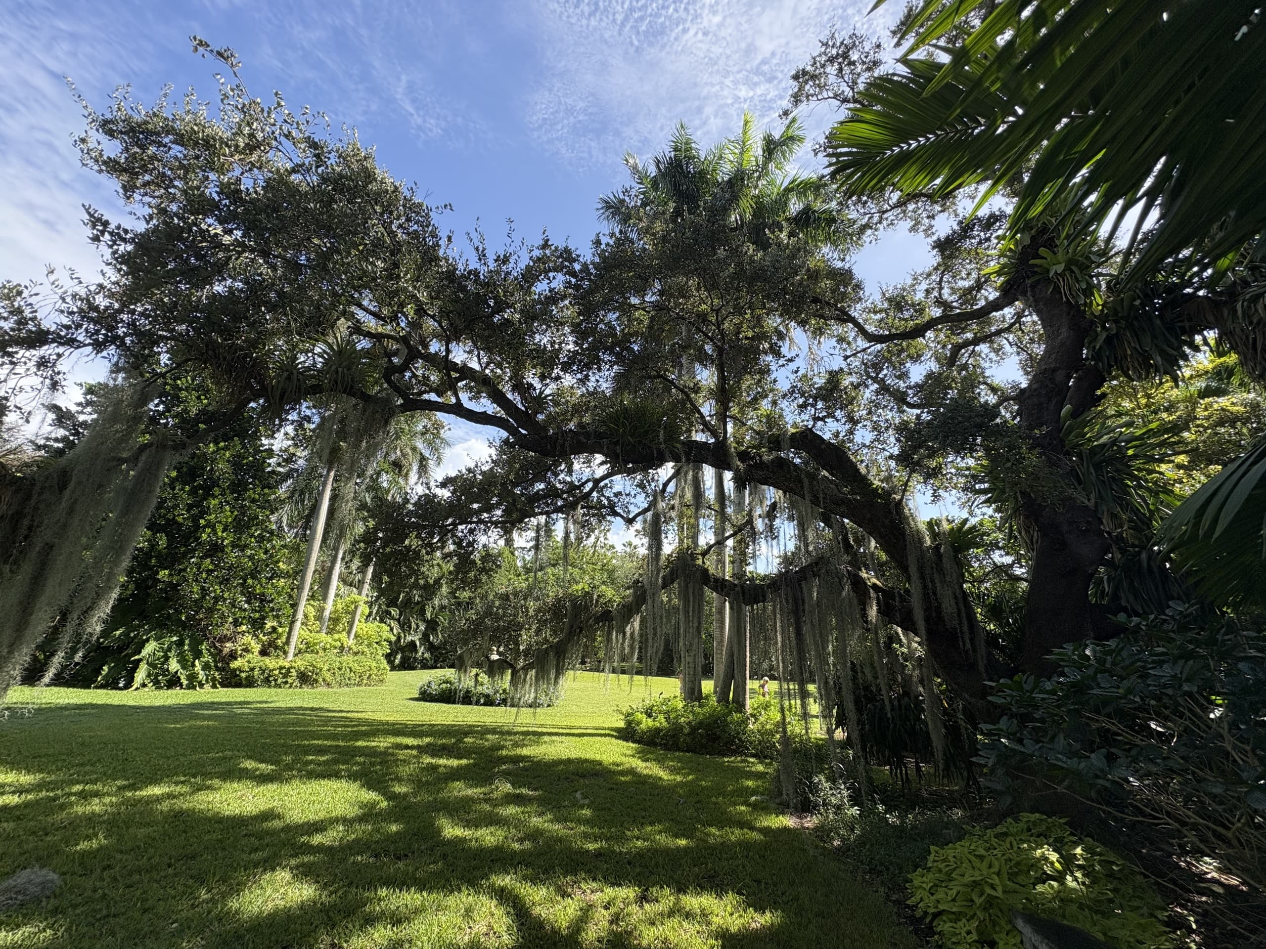 Forest Bathing at The Kampong: Miami's Natural Retreat