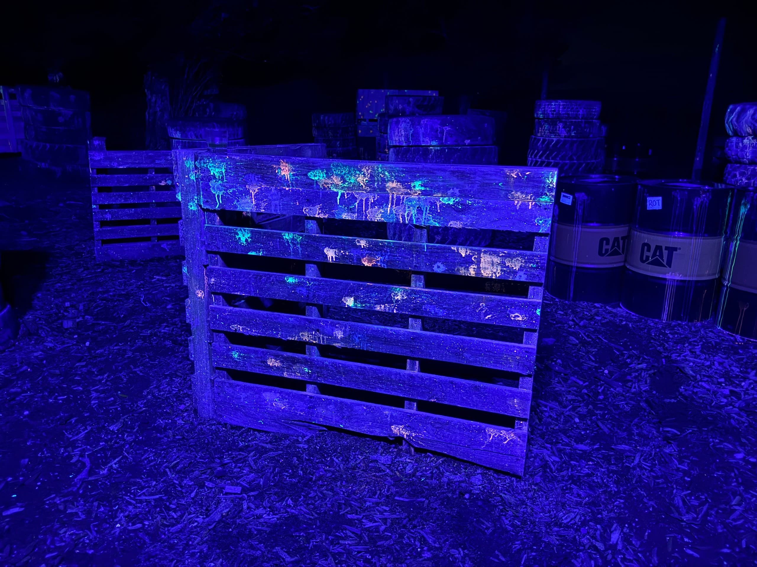 Glowball After Dark Assault: UV Paintball Night Games in Hamurana photo 1