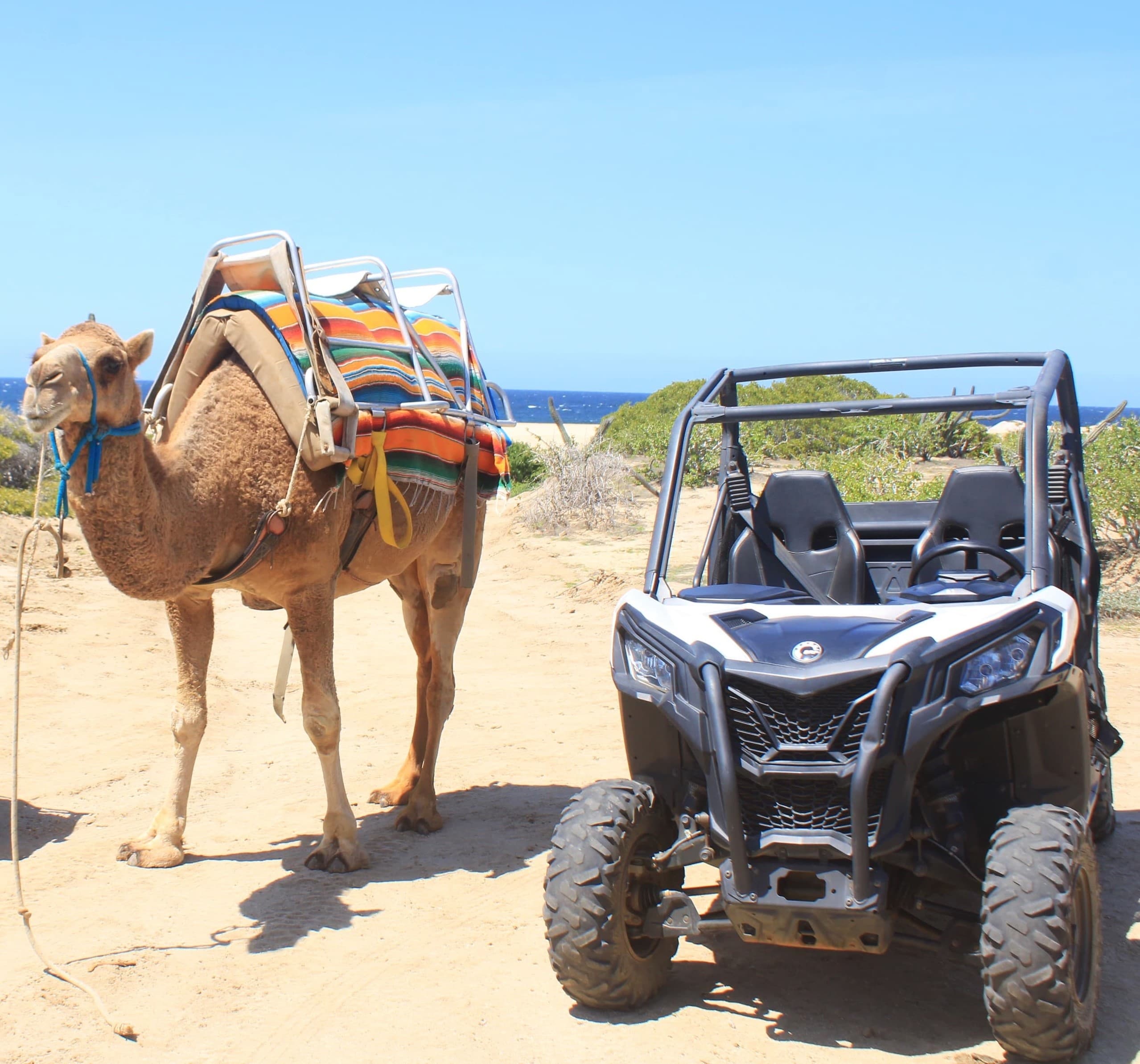 UTV Adventure at Rancho San Cristobal in Cabo San Lucas