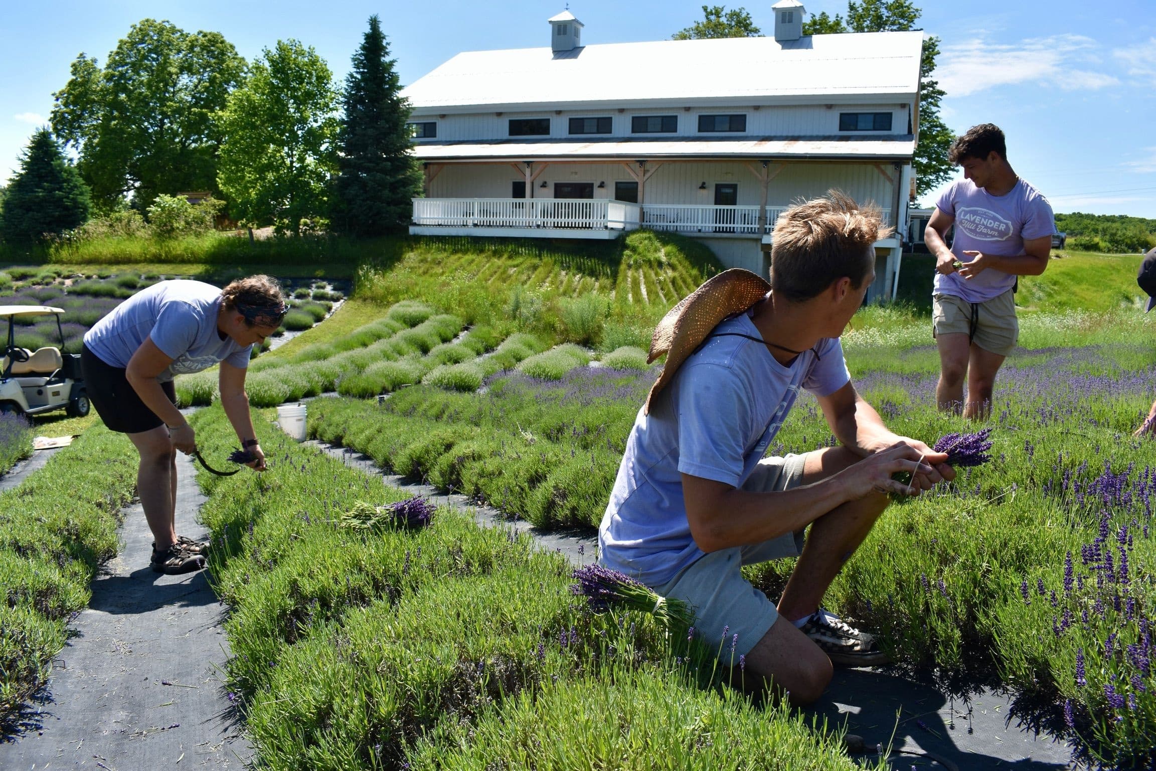 Growing & Harvesting 102 Workshop in Boyne City, MI