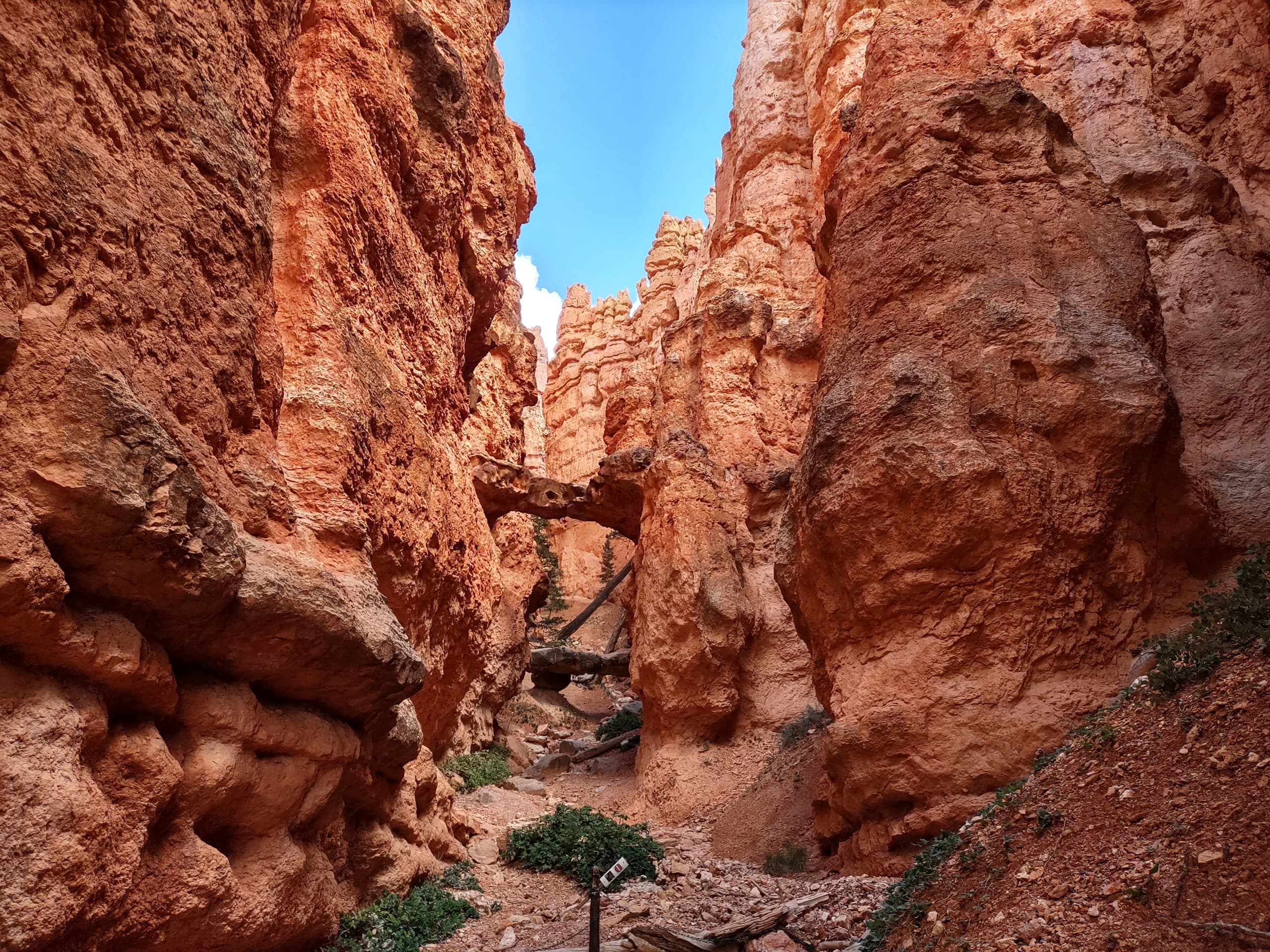 Hiking Bryce Canyon National Park: Trails & Rock Formations