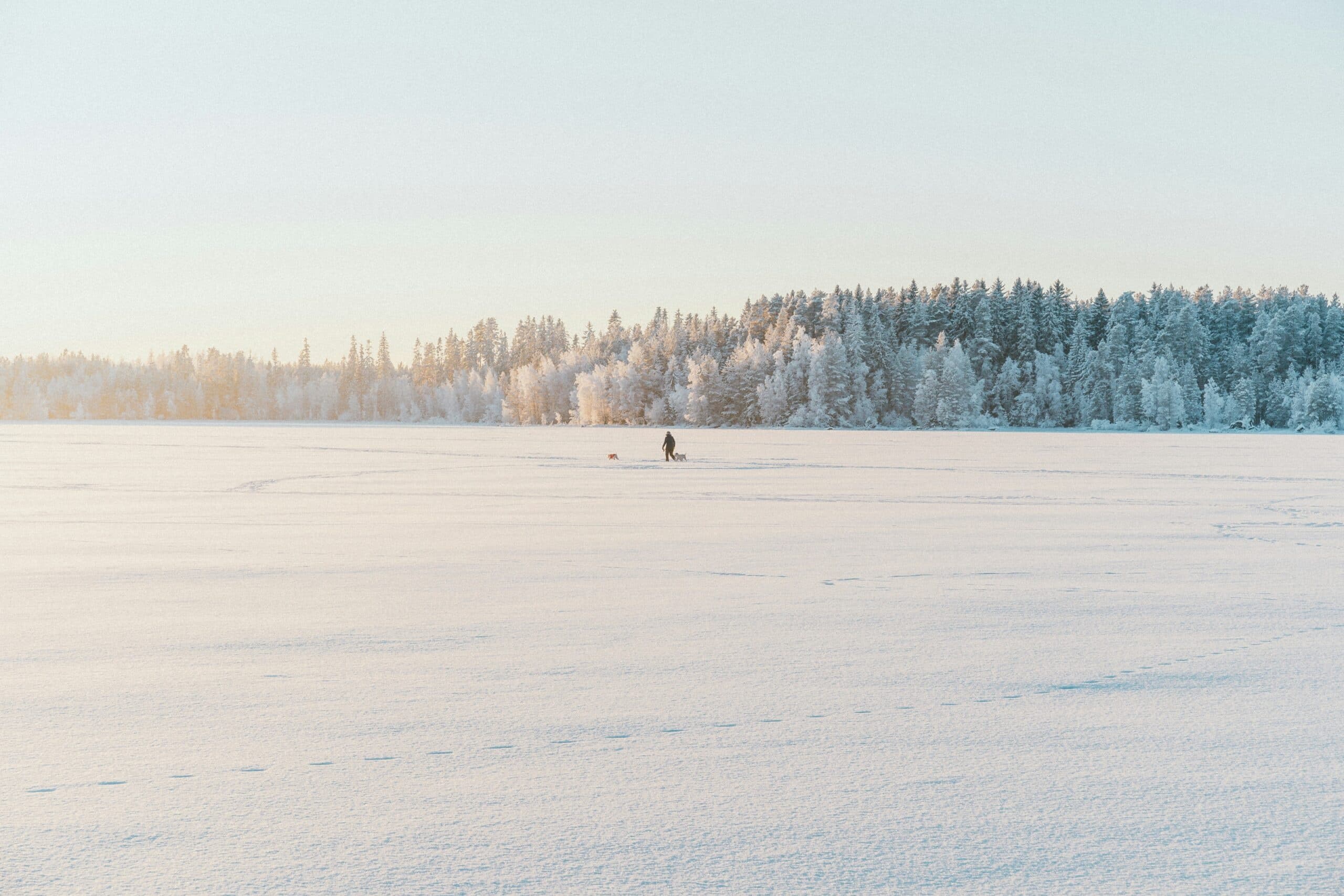 Experience Meditative Ice Fishing in Posio: A Unique Nordic Adventure