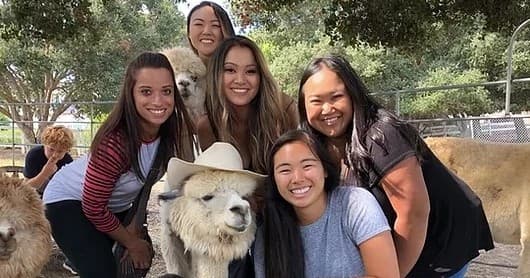 Explore Carpinteria with a Private Farm Tour at Canzelle Alpacas