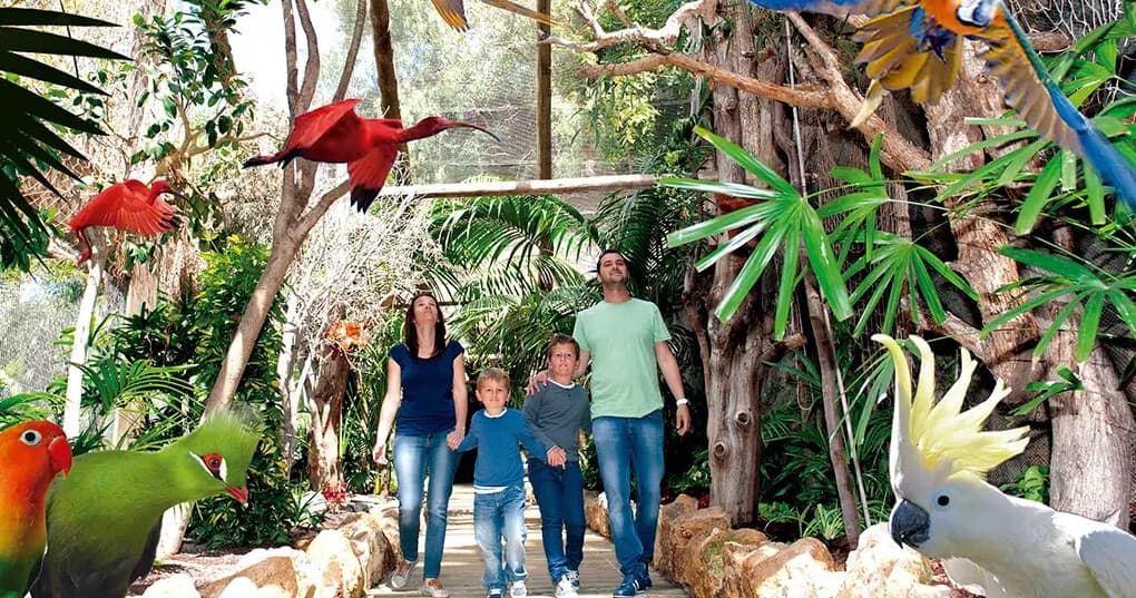 Aqualand and Jungle Park: A Full-Day Family Adventure in South Tenerife