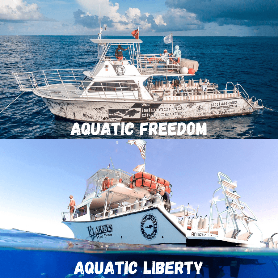 Private Charter with Islamorada Dive Center in Florida