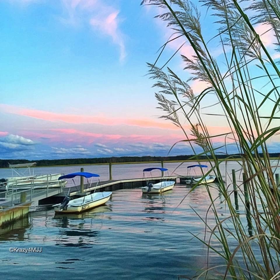 Sunset boats moored at Chincoteague dock with marsh reeds