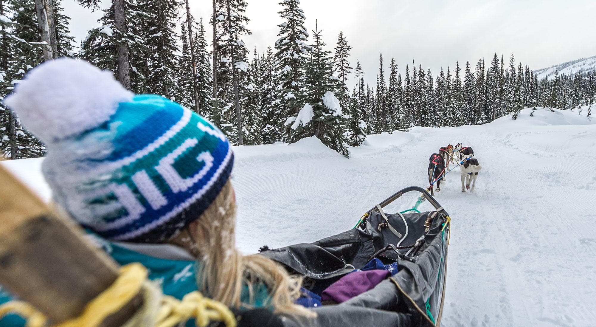 Thrilling Dog Sled Tours at Big White: Winter Adventure in Canada’s Backcountry