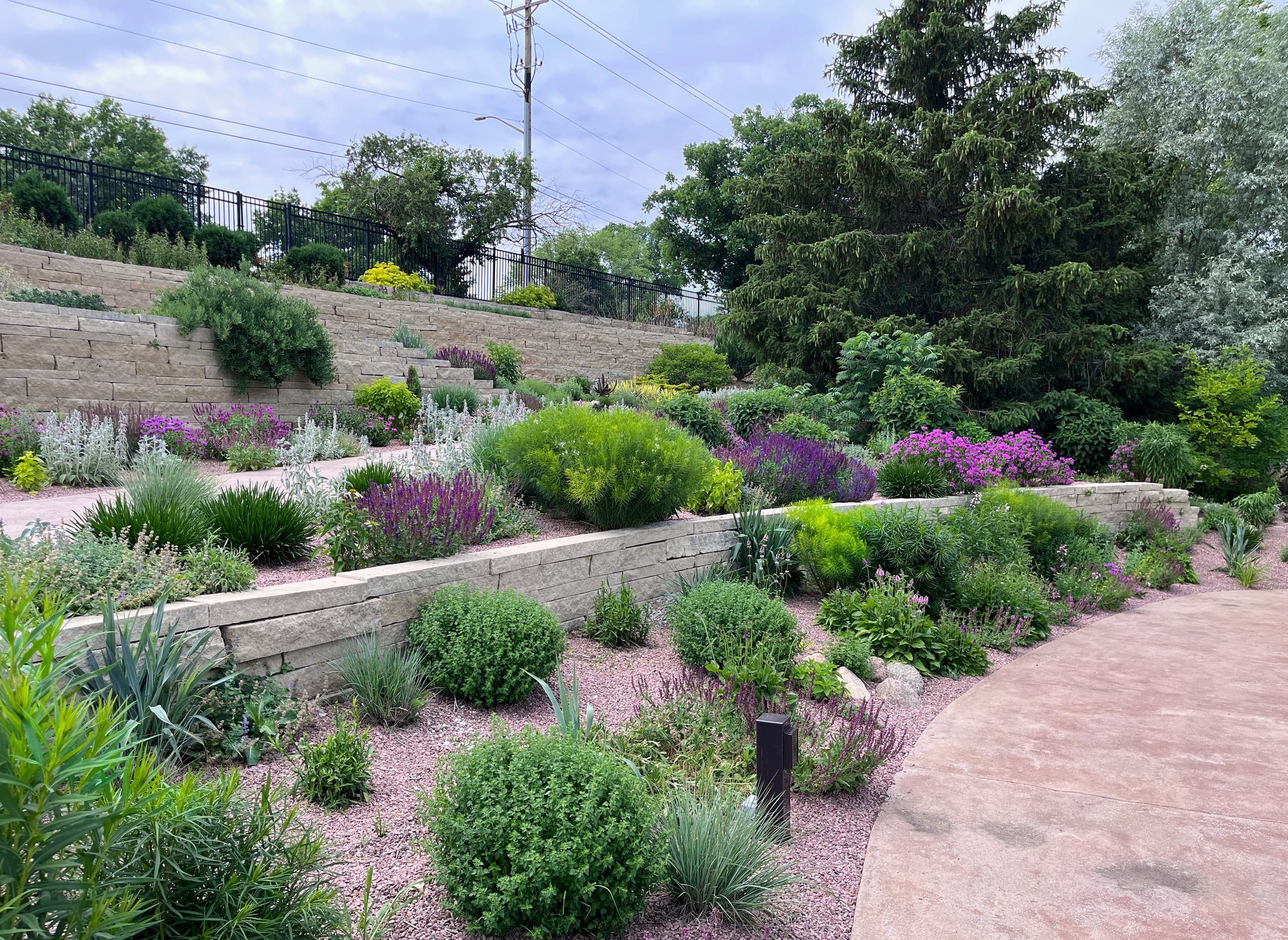Hillside Water-Wise Gardening: Design, Gravel Systems, and Plant Lessons in Ames photo 1