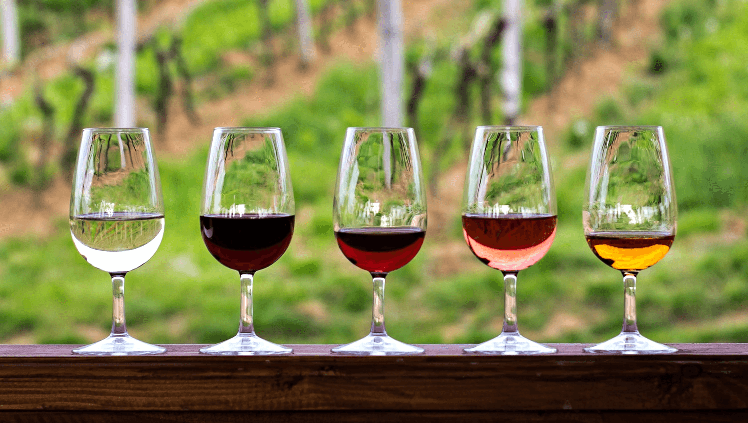 Flight of wine glasses on vineyard railing overlooking vines