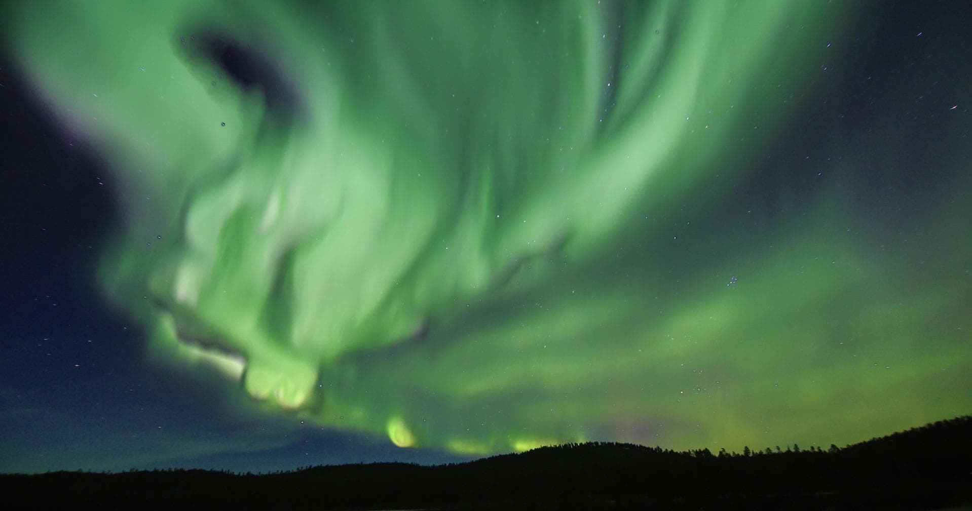Aurora borealis green sky over snow-covered forest in Lapland