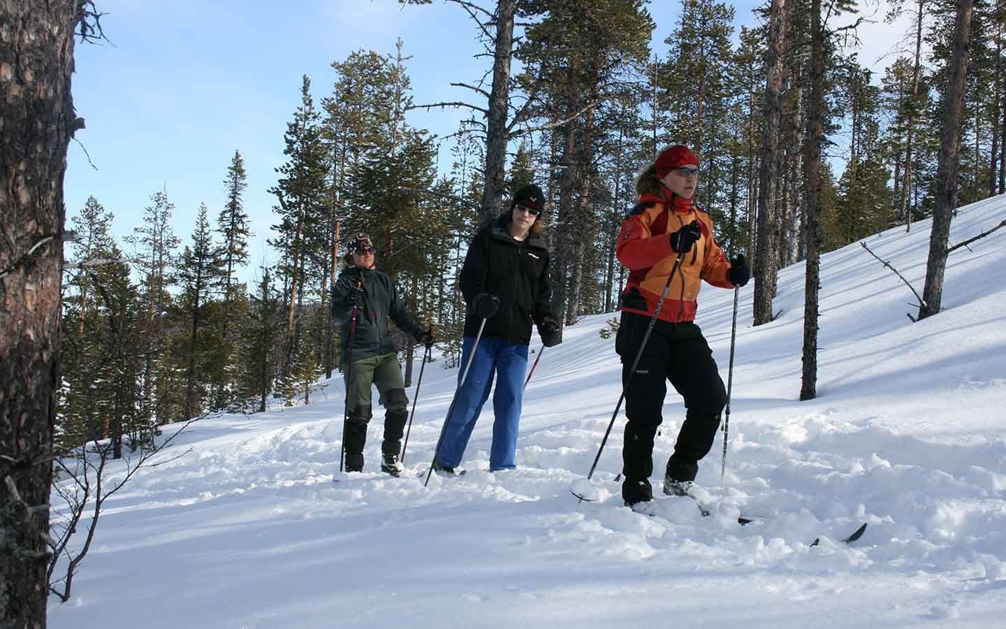 Nordic Touring Skiing with Kiruna Guidetur in Lappland