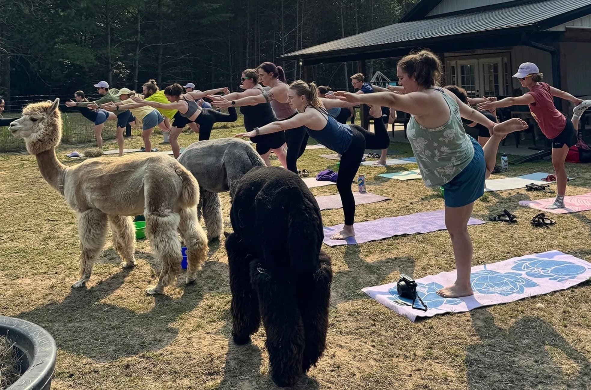 Barn-Lawn Yogalates: Morning Movement at CASACAMPO in Wisconsin Dells photo 1