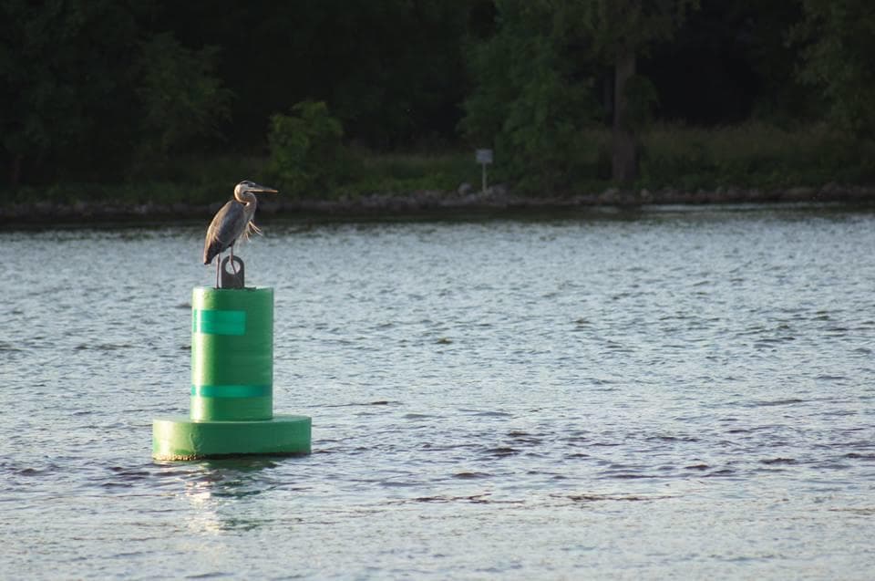 Sunset Doty Island Paddle in Neenah, Wisconsin