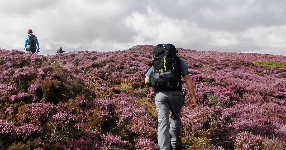 Explore Scotland’s Stunning Berwickshire Coast: Eyemouth to St. Abbs Head Coastal Walk