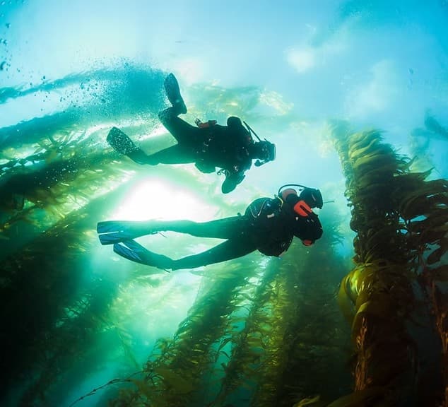 Underwater Navigator Course: Master Compass Skills in Monterey Bay photo 2