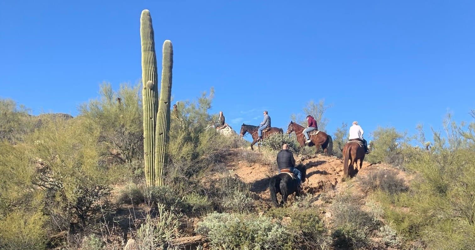 Private 2-Hour Horseback Ride in Mesa, Arizona